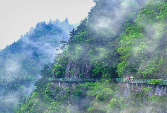 玉岑山居)网站-楼盘详情-磐安房天下PG麻将胡了2玉岑山居(2024年(图15)