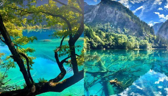 行社：综合实力、口碑双优、正规资质认证麻将胡了免费试玩2026四川十大权威旅(图3)